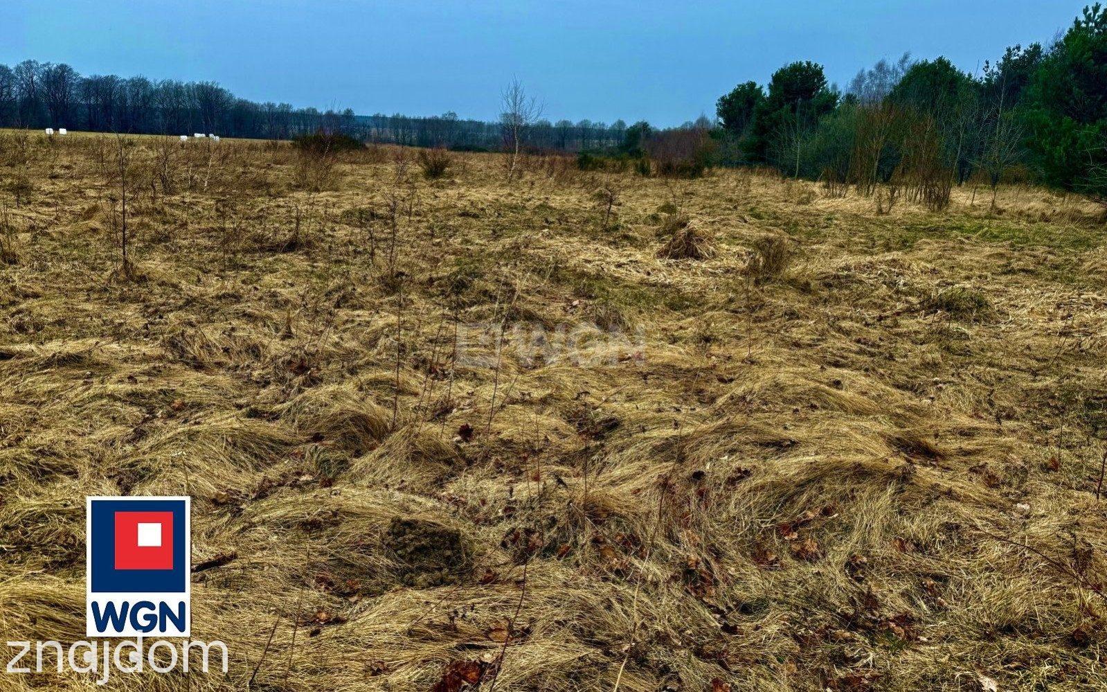Działka na sprzedaż Machowinko - zdjęcie 10