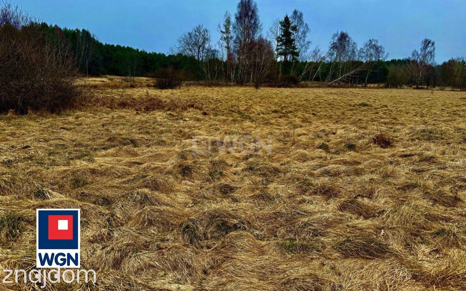 Działka na sprzedaż Machowinko - zdjęcie 10