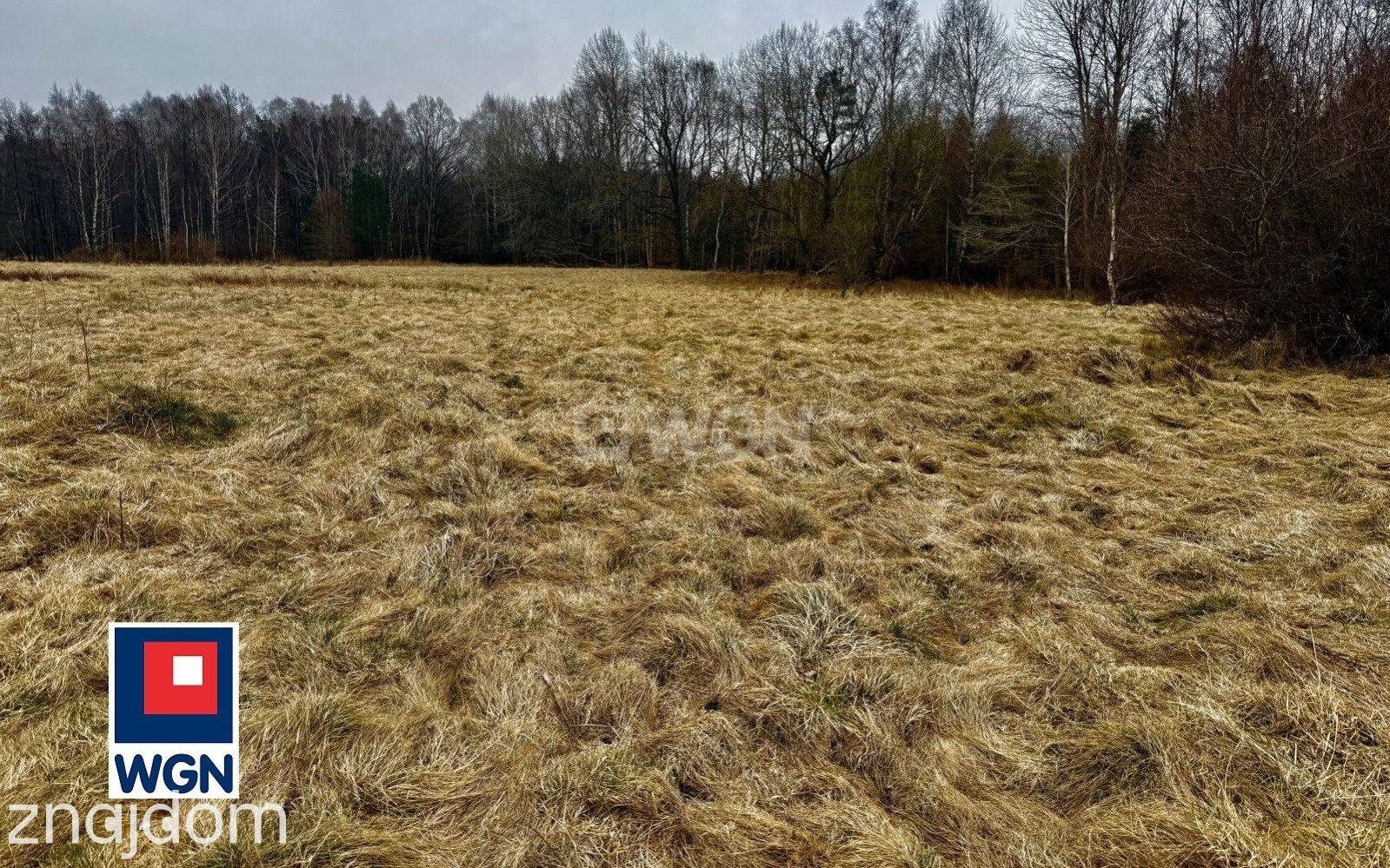 Działka na sprzedaż Machowinko - zdjęcie 8