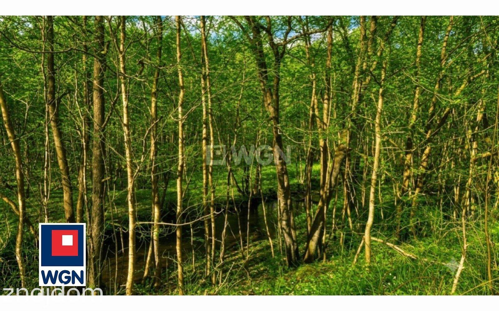 Działka na sprzedaż Dębnica Kaszubska - zdjęcie 17