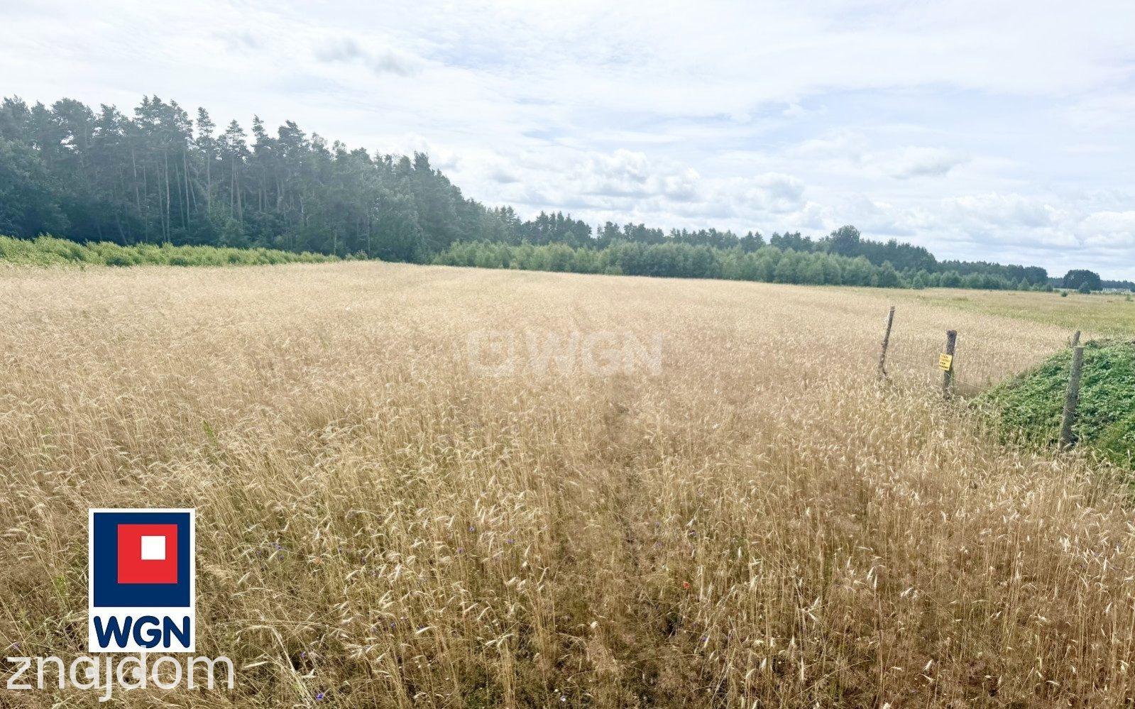 Działka na sprzedaż Głobino - zdjęcie 5