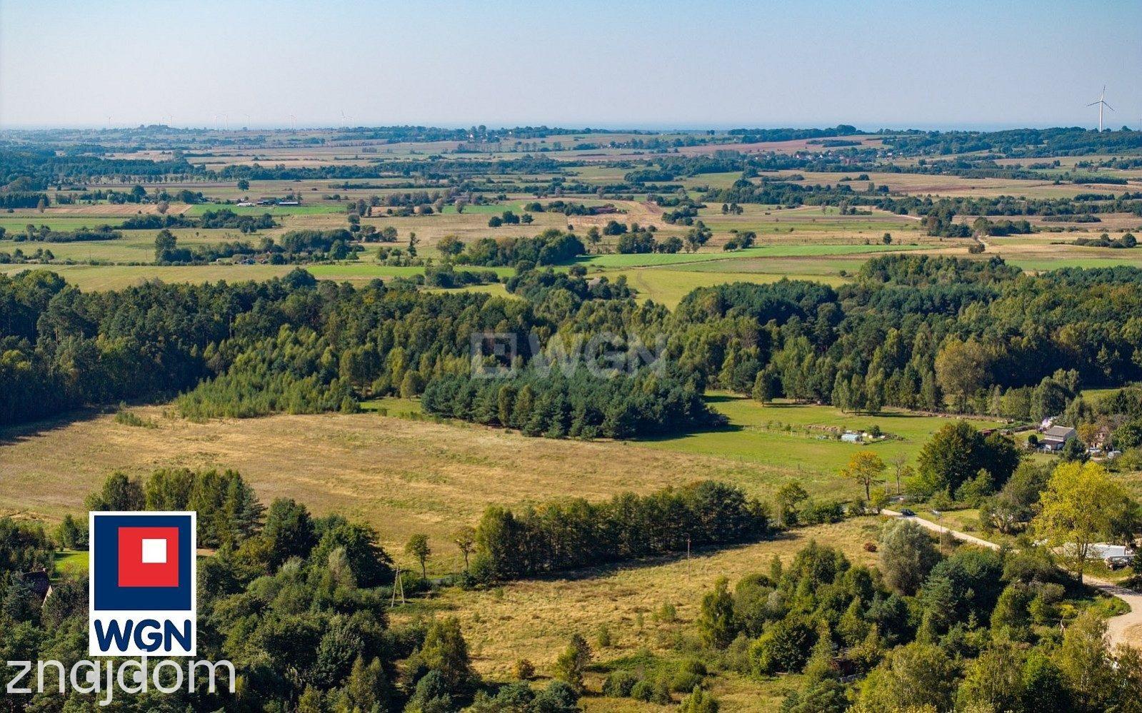 Działka na sprzedaż Kanin - zdjęcie 8