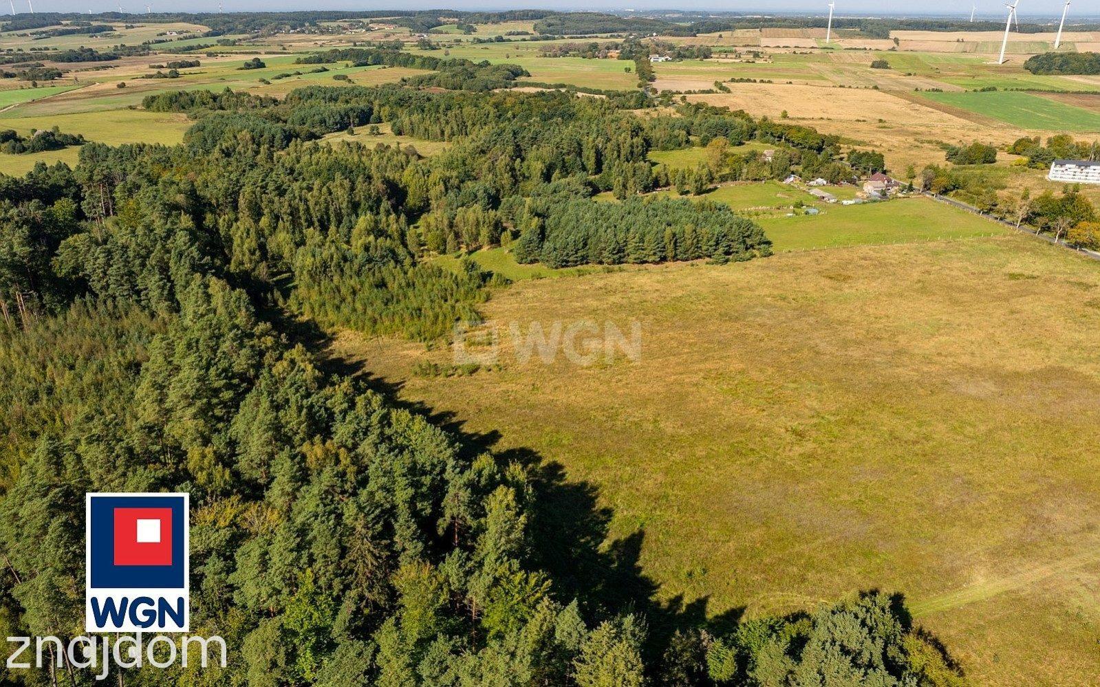 Działka na sprzedaż Kanin - zdjęcie 6
