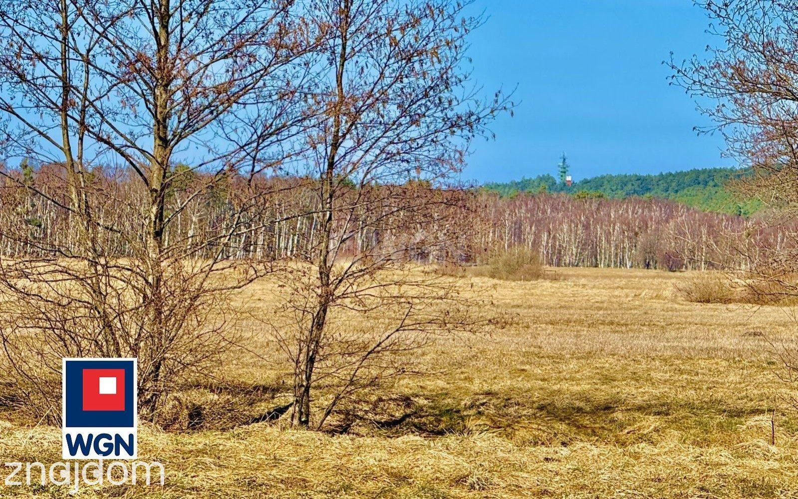 Działka na sprzedaż Smołdziński Las - zdjęcie 9