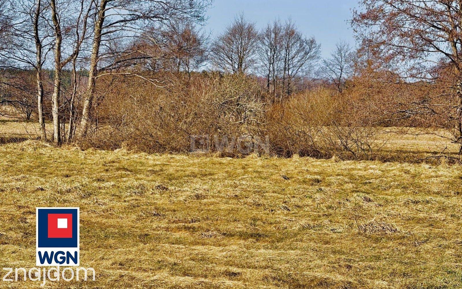 Działka na sprzedaż Smołdziński Las - zdjęcie 8