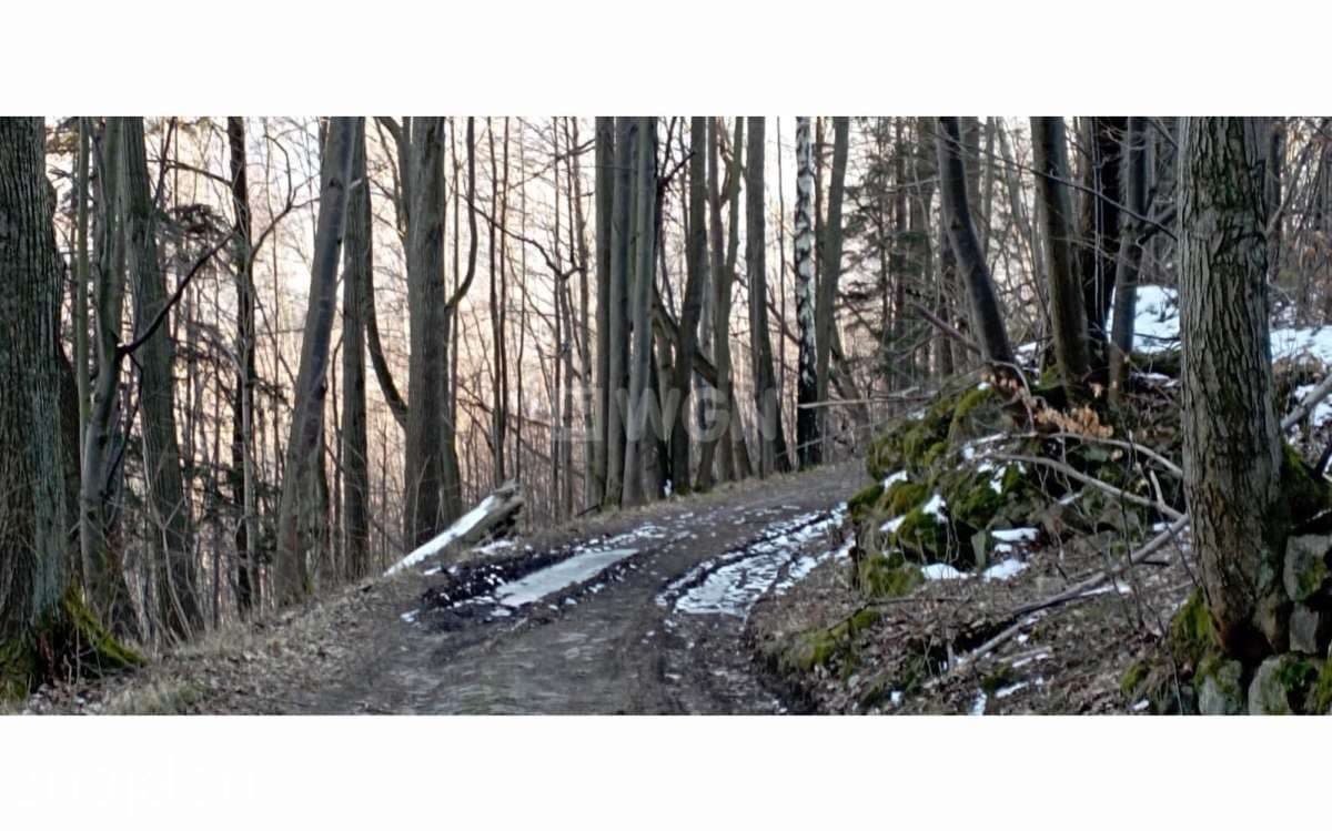 Działka na sprzedaż Karpacz - zdjęcie 7