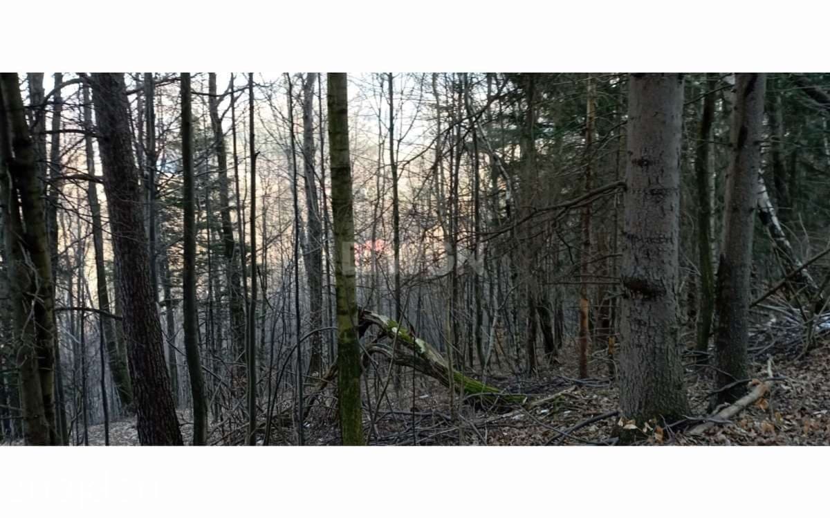 Działka na sprzedaż Karpacz - zdjęcie 6