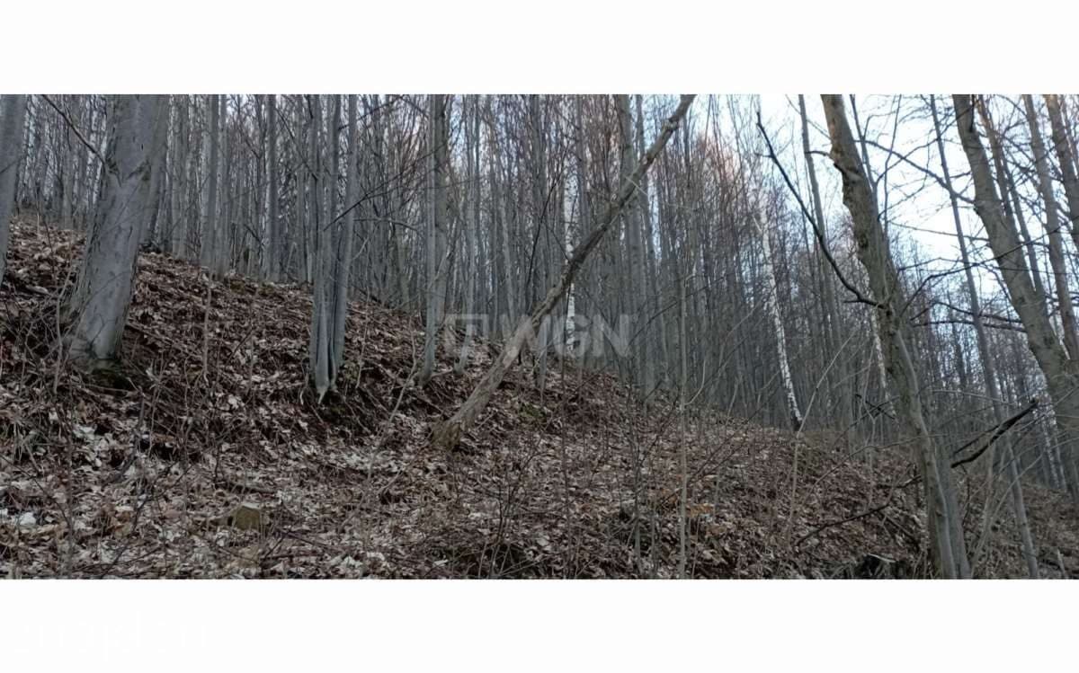 Działka na sprzedaż Karpacz