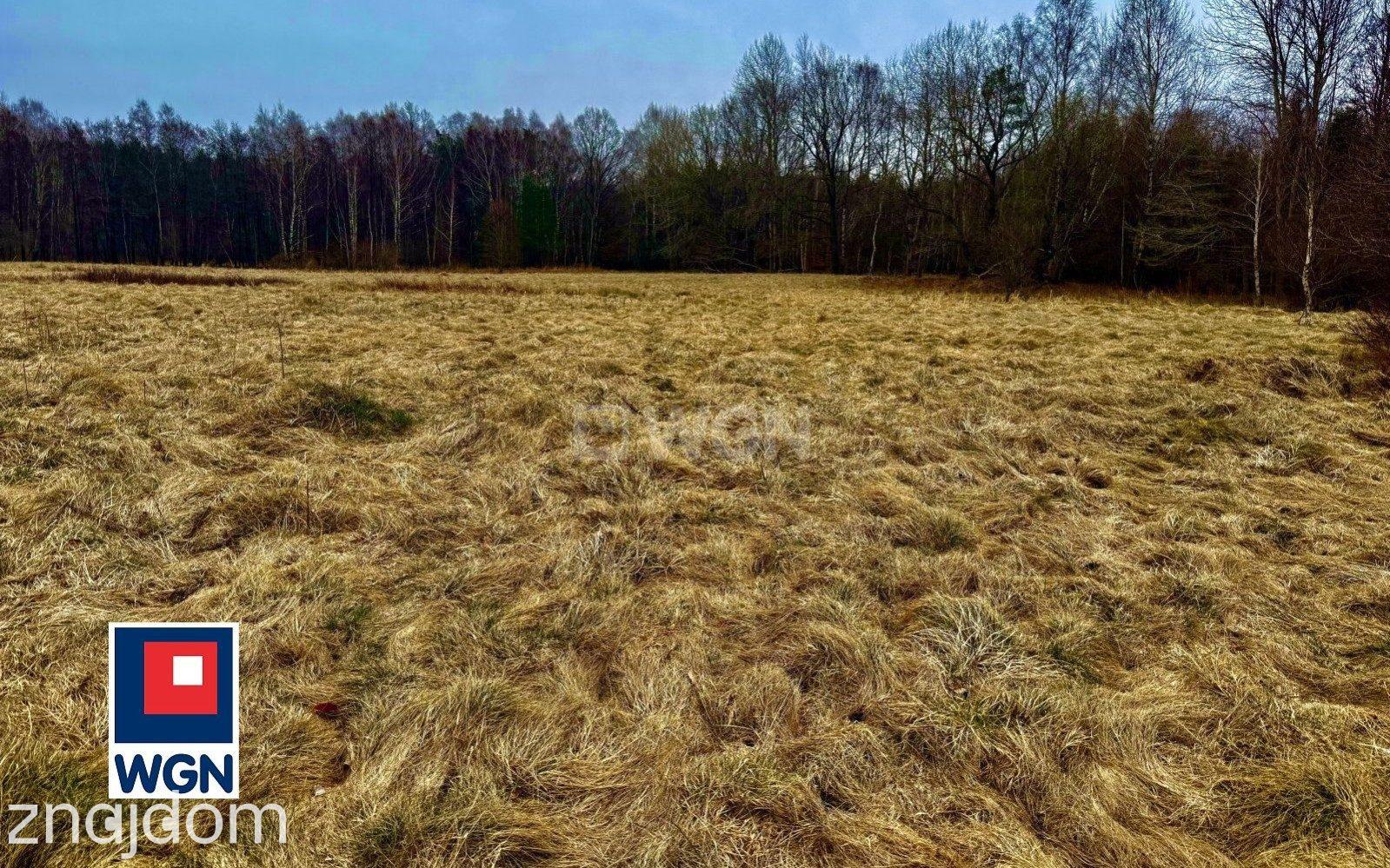 Działka na sprzedaż Machowinko - zdjęcie 3