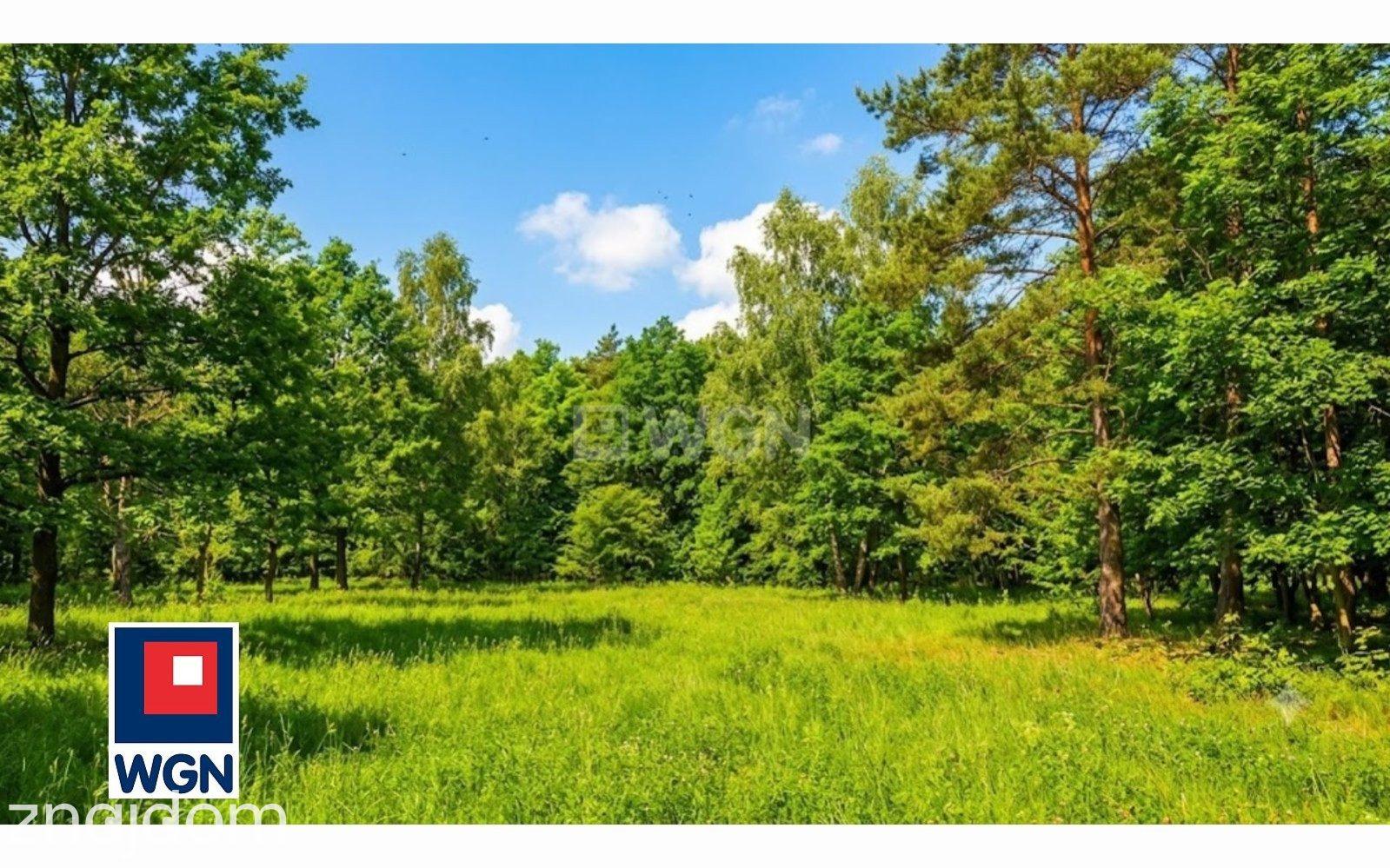 Działka na sprzedaż Dębnica Kaszubska - zdjęcie 11