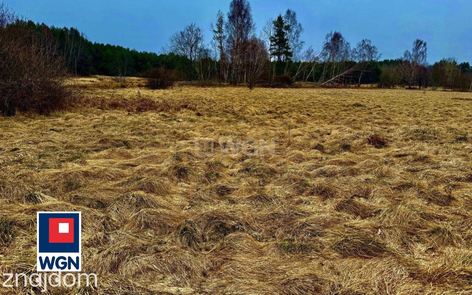 Działka na sprzedaż Machowinko - zdjęcie 5