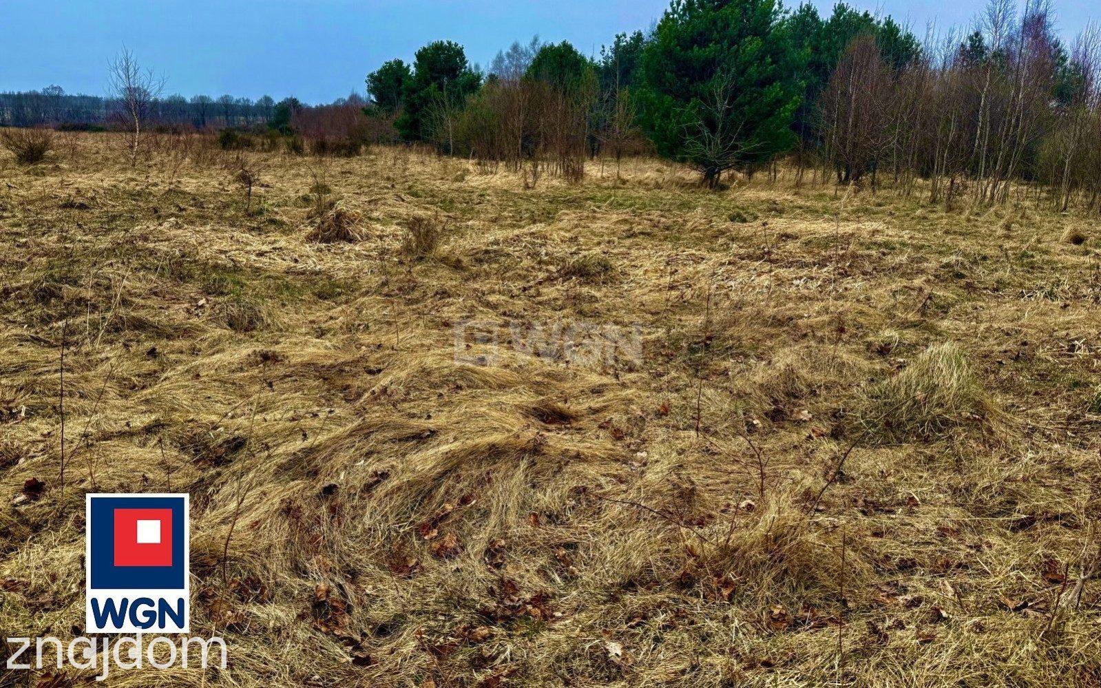 Działka na sprzedaż Machowinko - zdjęcie 8