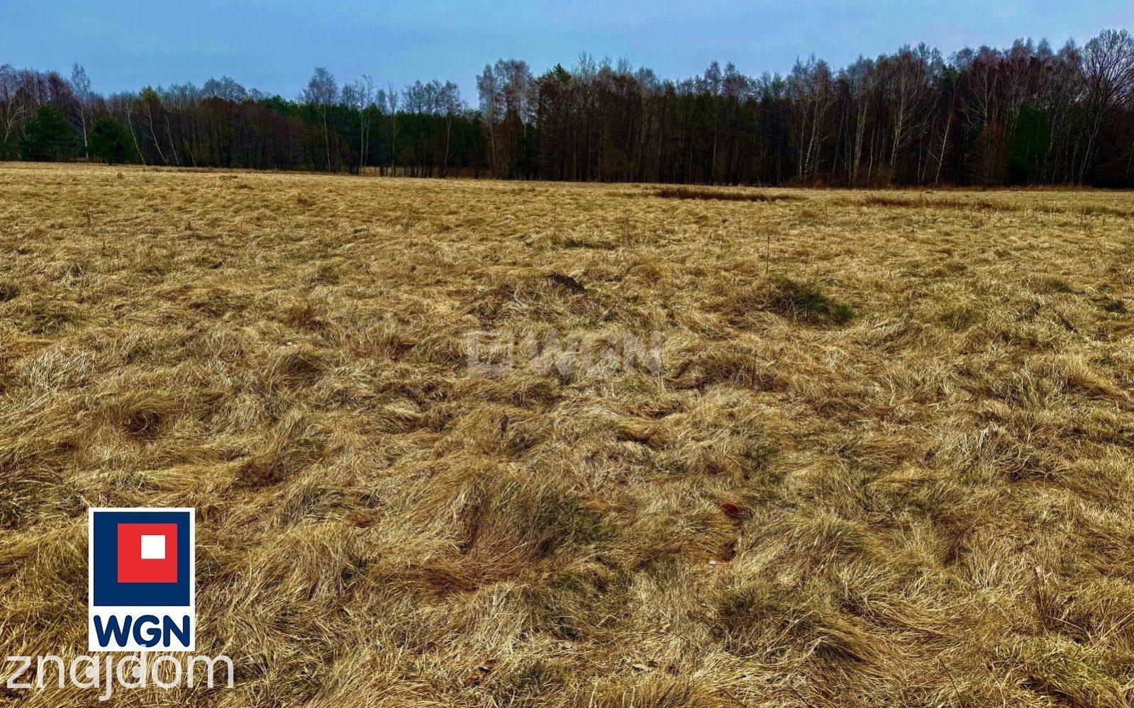 Działka na sprzedaż Machowinko - zdjęcie 6