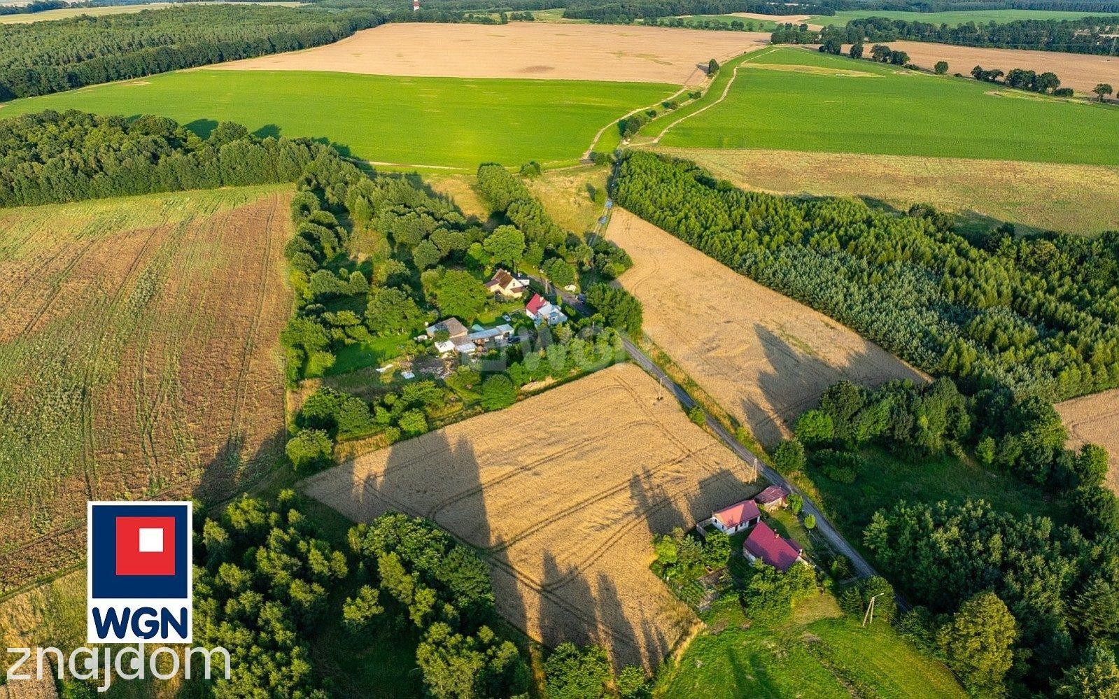 Działka na sprzedaż Dargoleza - zdjęcie 13
