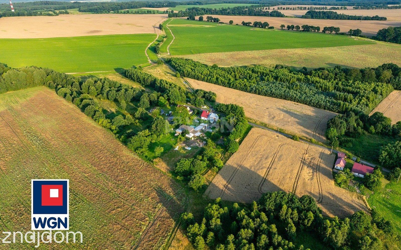 Działka na sprzedaż Dargoleza - zdjęcie 11
