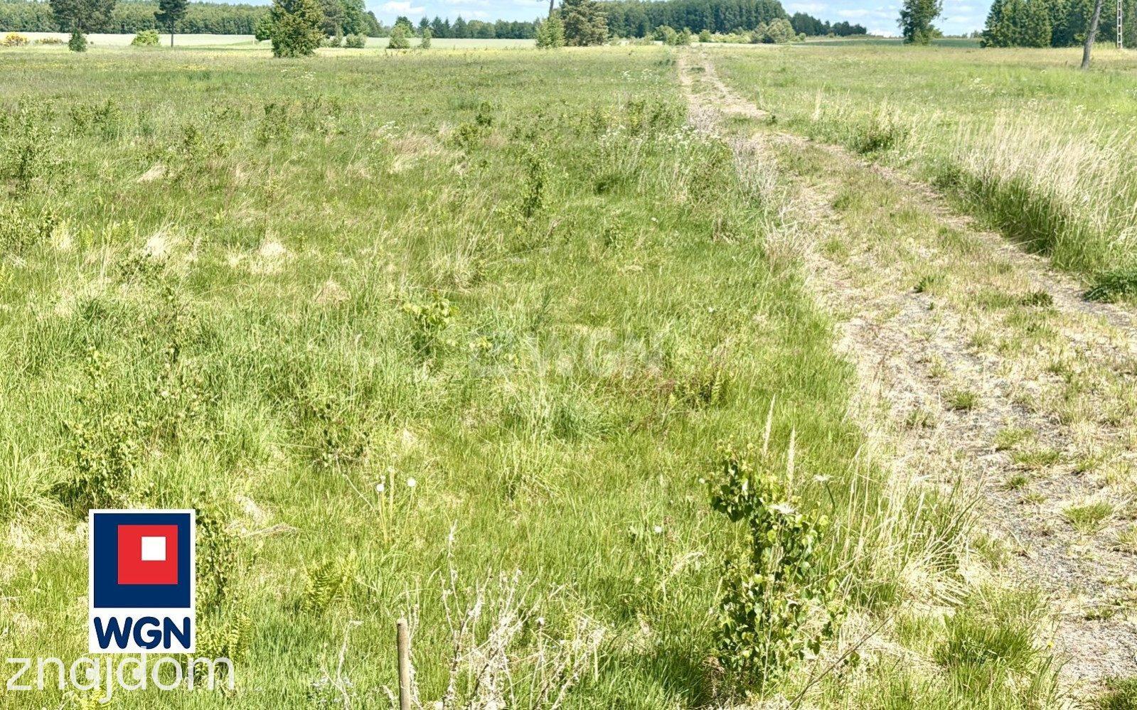 Działka na sprzedaż Jutrzenka - zdjęcie 6