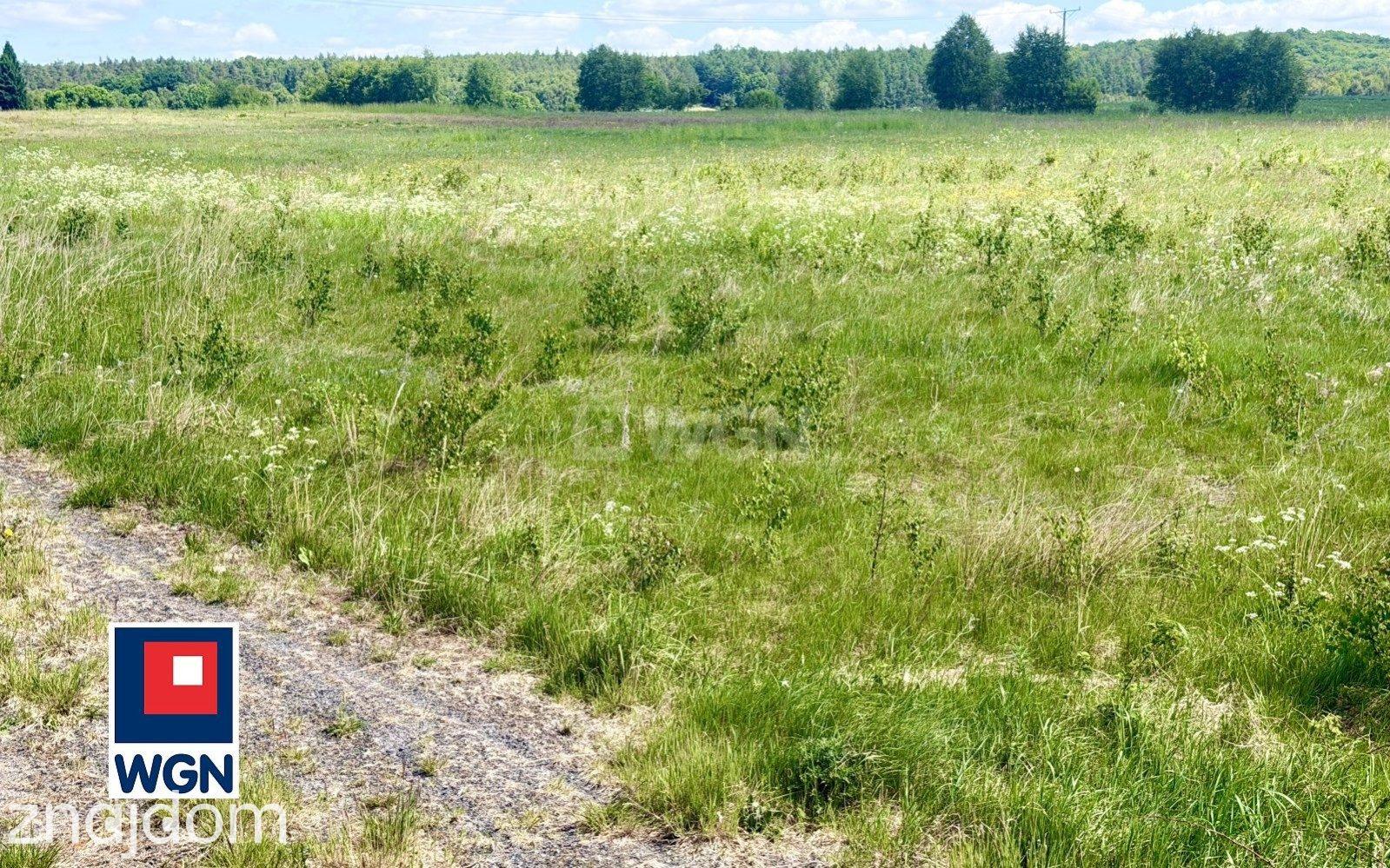 Działka na sprzedaż Jutrzenka - zdjęcie 3