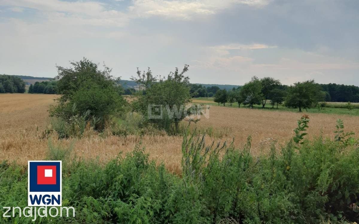 Działka na sprzedaż Putnowice-Kolonia - zdjęcie 8