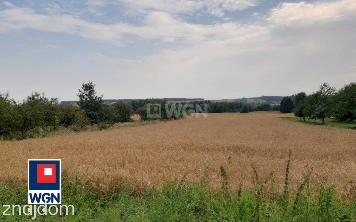 Działka na sprzedaż Putnowice-Kolonia - zdjęcie 7
