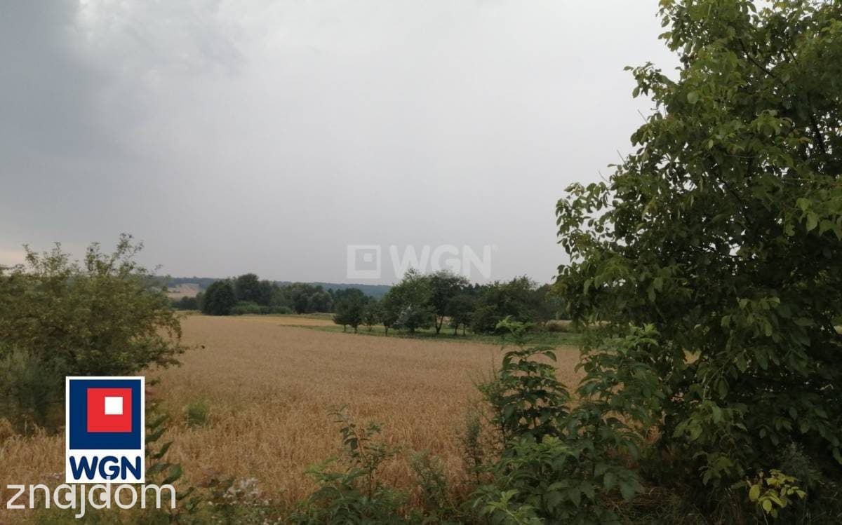 Działka na sprzedaż Putnowice-Kolonia - zdjęcie 4