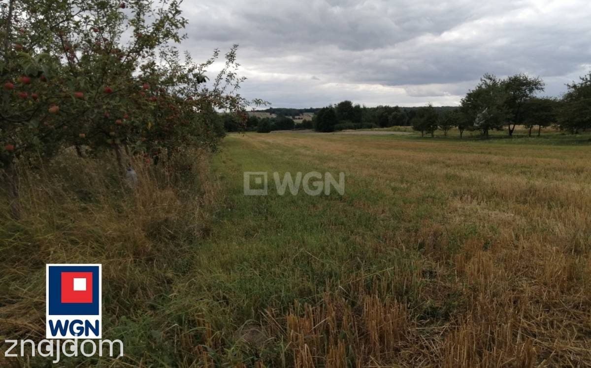 Działka na sprzedaż Putnowice-Kolonia