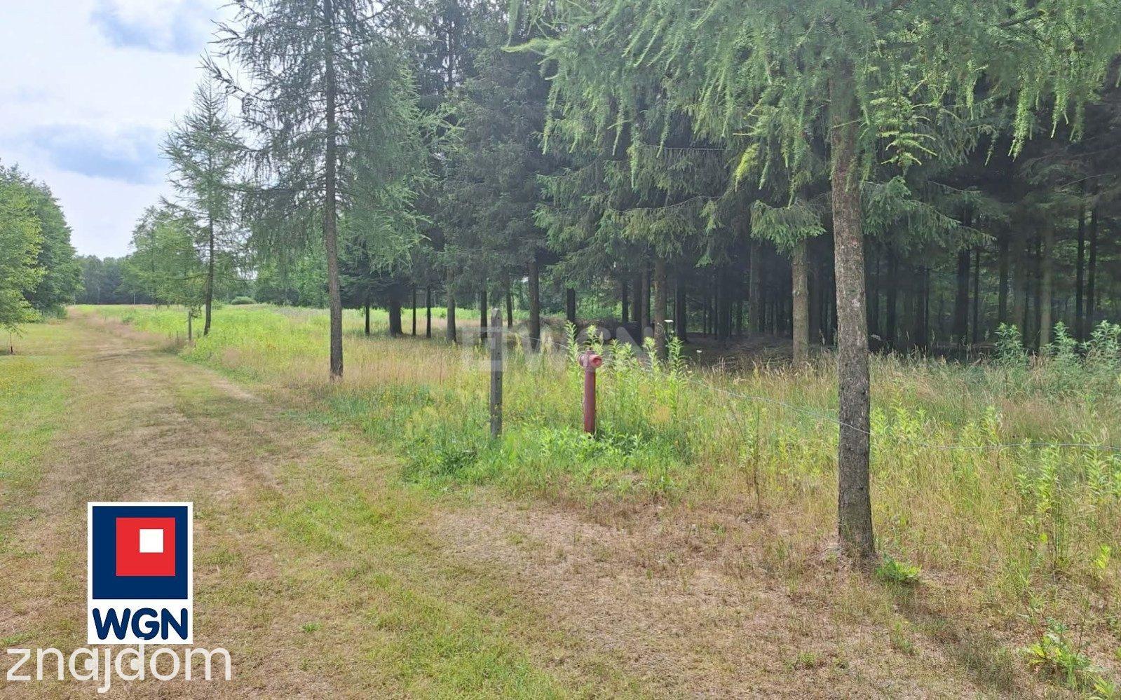 Działka na sprzedaż Rydzów - zdjęcie 6