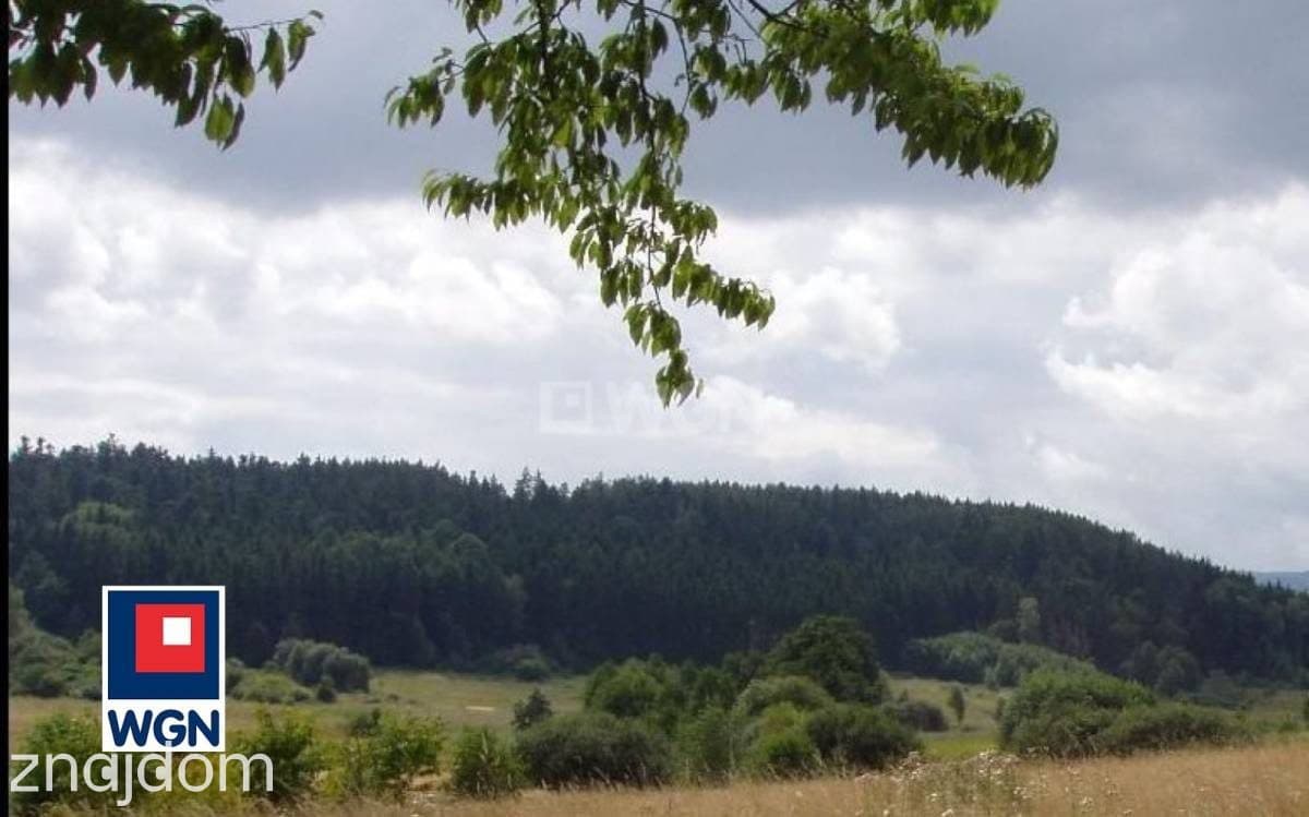 Działka na sprzedaż Stary Wielisław - zdjęcie 4