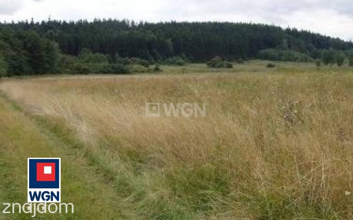 Działka na sprzedaż Stary Wielisław - zdjęcie 3