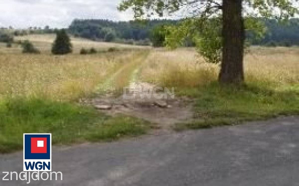 Działka na sprzedaż Stary Wielisław - zdjęcie 2