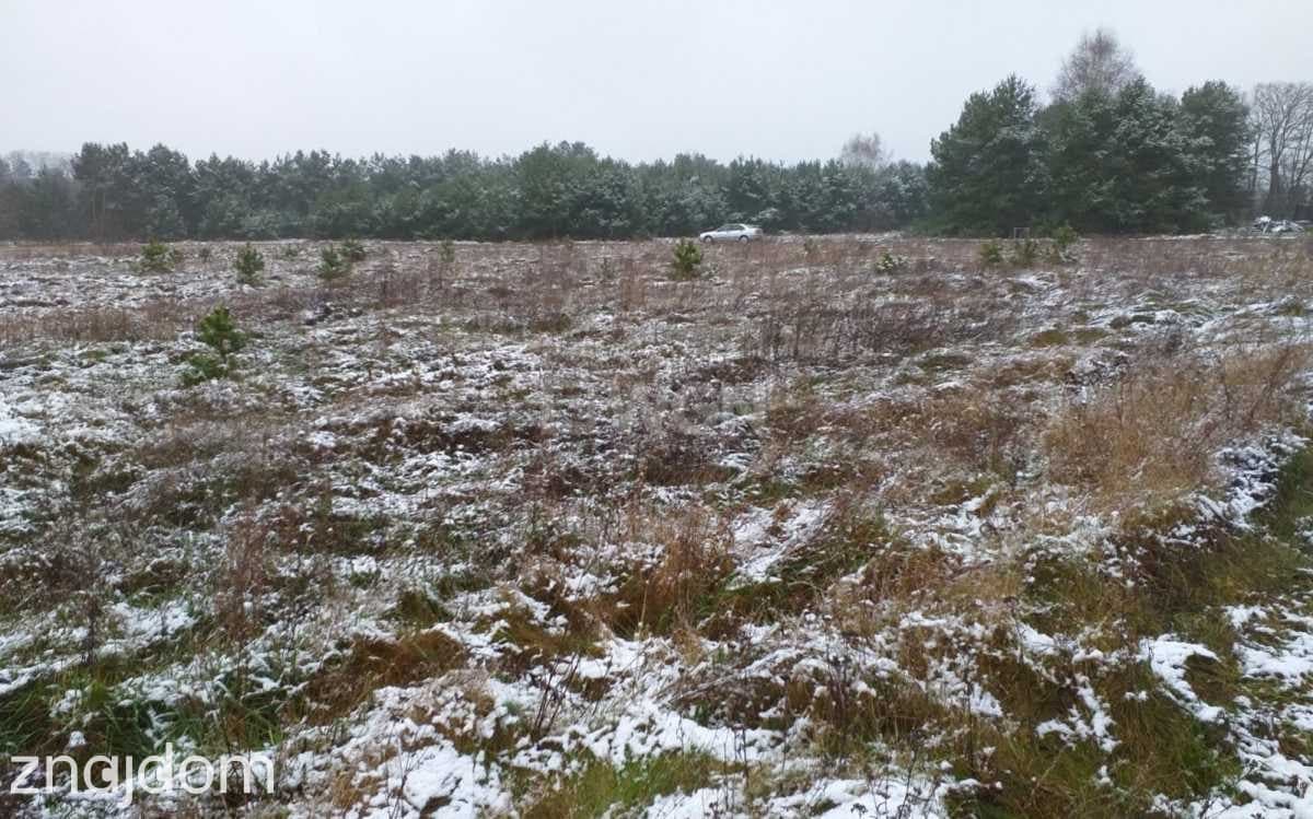 Działka na sprzedaż Sobin