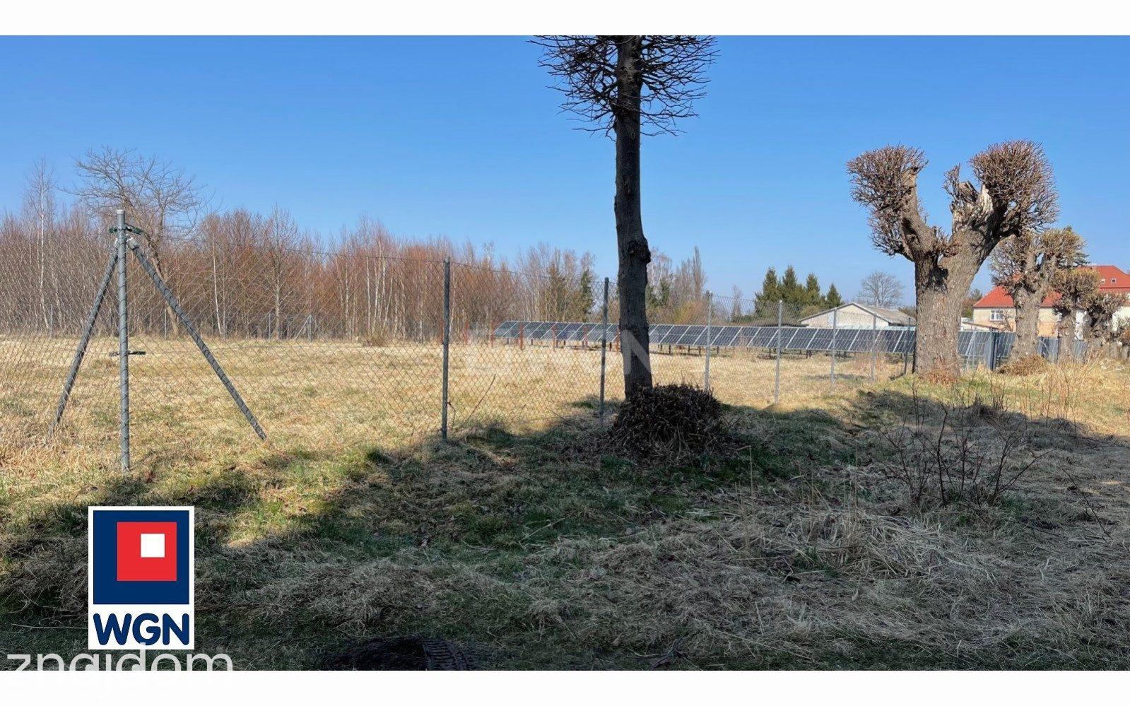 Działka na sprzedaż Mirsk - zdjęcie 5