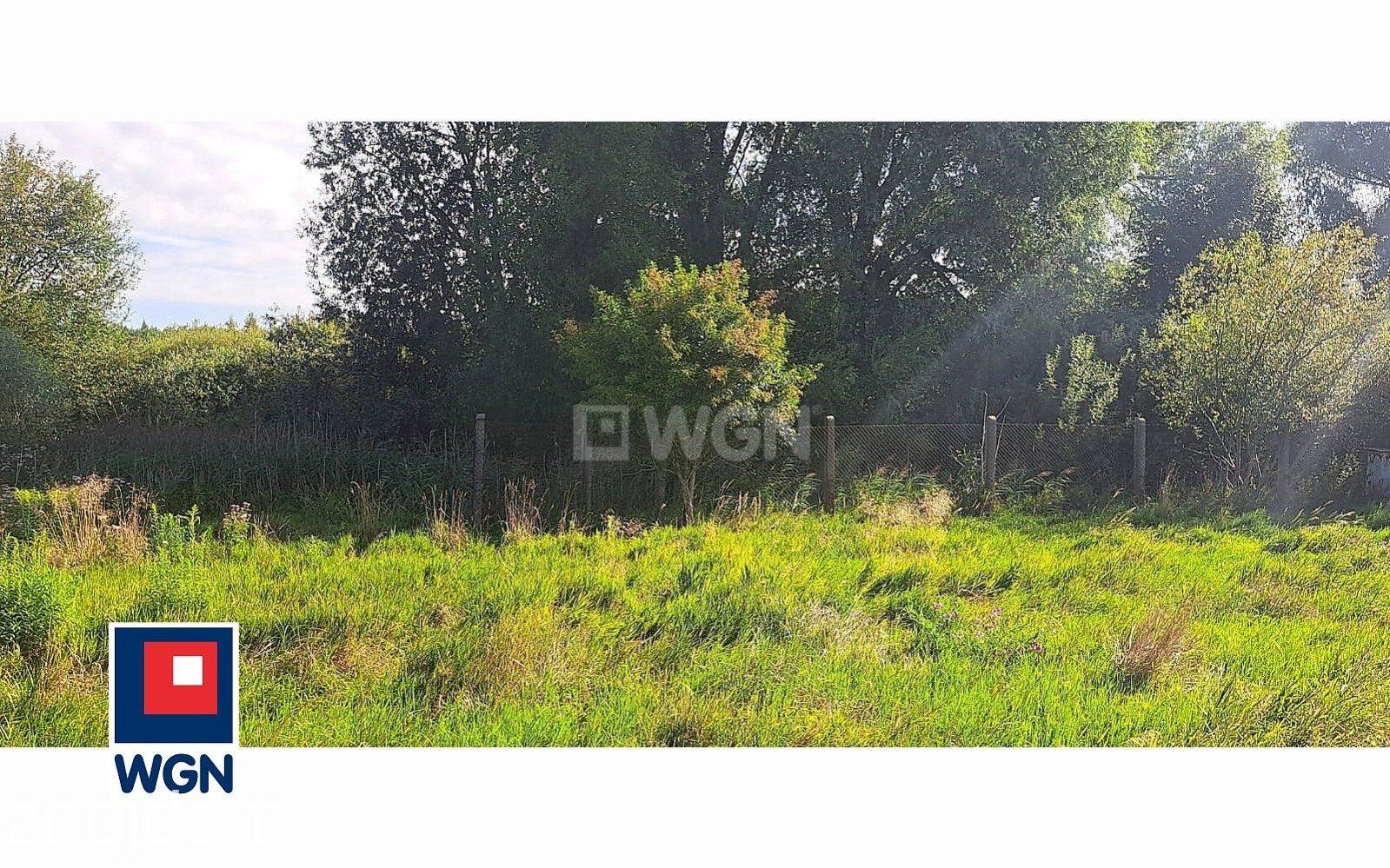 Działka na sprzedaż Tarnów Jezierny - zdjęcie 3