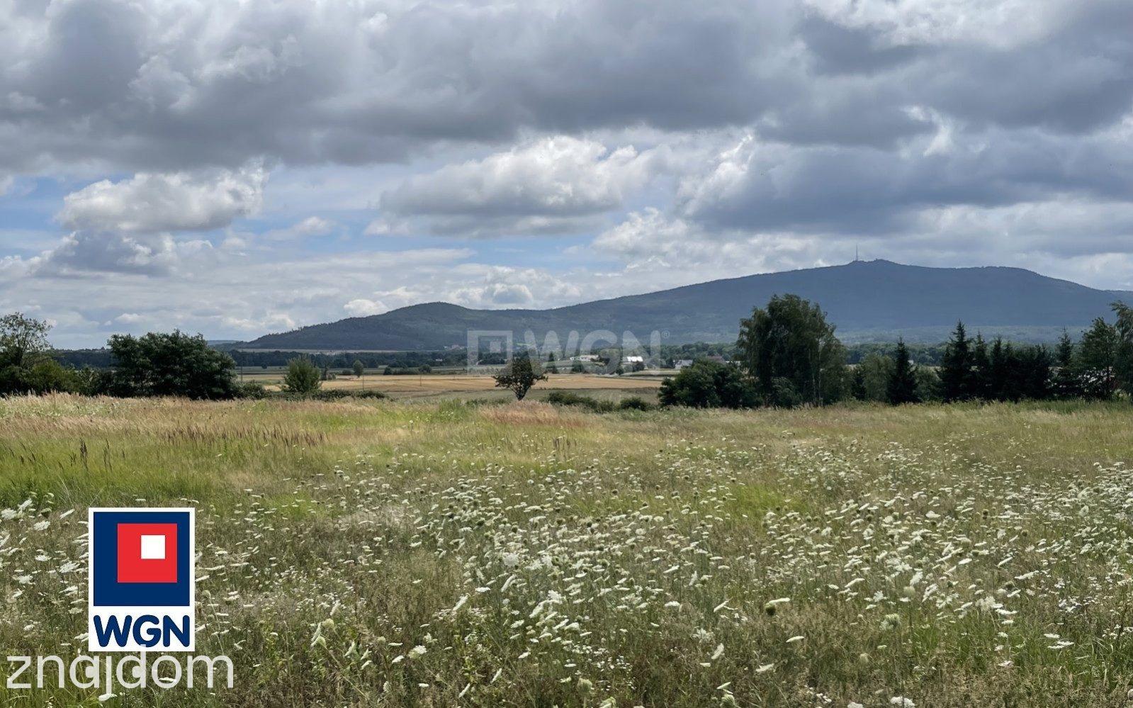 Dom na sprzedaż Tworzyjanów - zdjęcie 2
