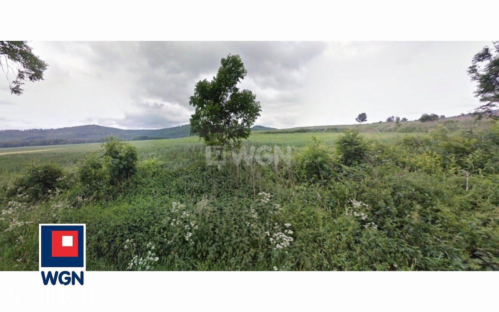 Grunt aktywizacja gospodarcza na sprzedaż Biegoszów - Biegoszów, Powiat Złotoryjski, grunt rolny, pod fotowoltaikę, sprzedaż. - zdjęcie 4