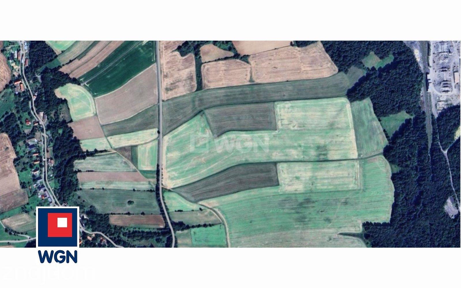 Grunt aktywizacja gospodarcza na sprzedaż Biegoszów - Biegoszów, Powiat Złotoryjski, grunt rolny, pod fotowoltaikę, sprzedaż. - zdjęcie 3
