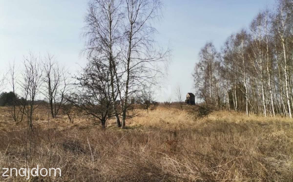 Działka na sprzedaż Chocianowiec - zdjęcie 6
