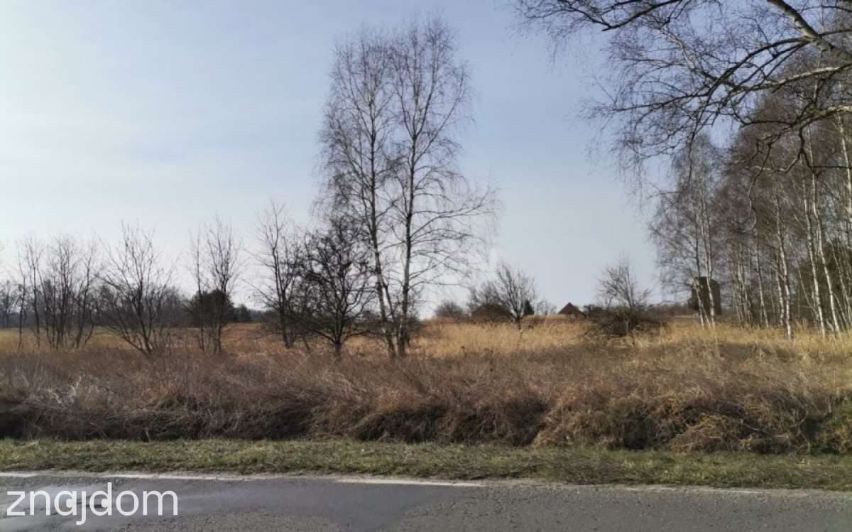 Działka na sprzedaż Chocianowiec - zdjęcie 5