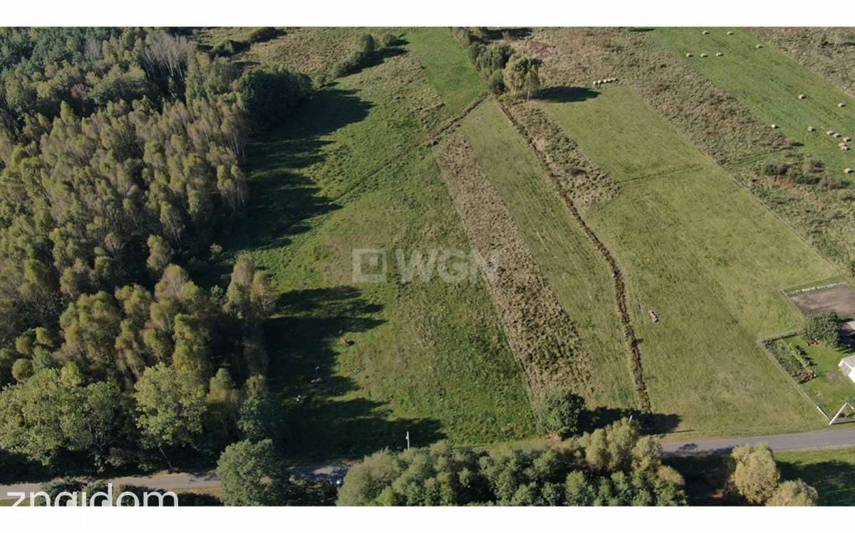 Działka na sprzedaż Krzywczyce - zdjęcie 5