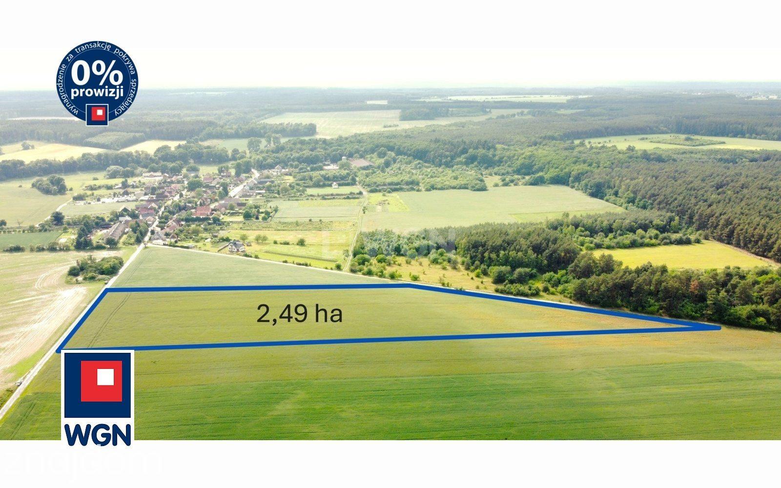 Grunt bez warunków zabudowy na sprzedaż Niedźwiedź - Działka Rolna lubuskie - zdjęcie 5