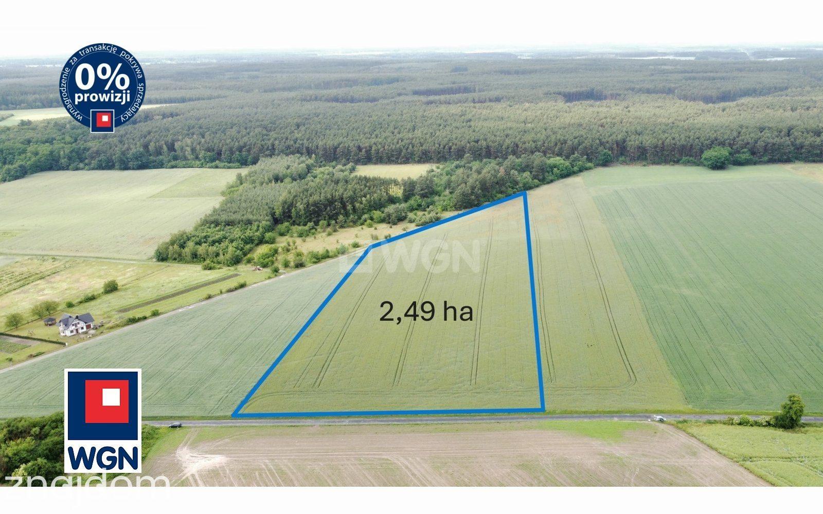 Grunt bez warunków zabudowy na sprzedaż Niedźwiedź - Działka Rolna lubuskie - zdjęcie 3