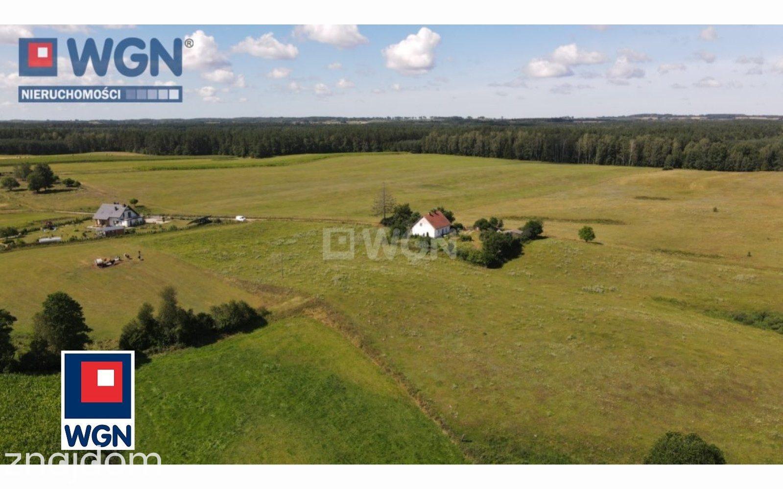 Działka na sprzedaż Czerwonka - zdjęcie 9