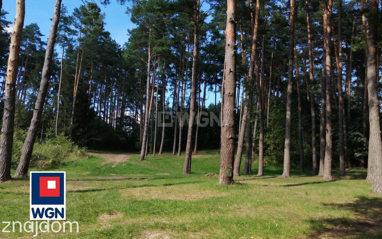 Działka na sprzedaż Czerwonka - zdjęcie 3