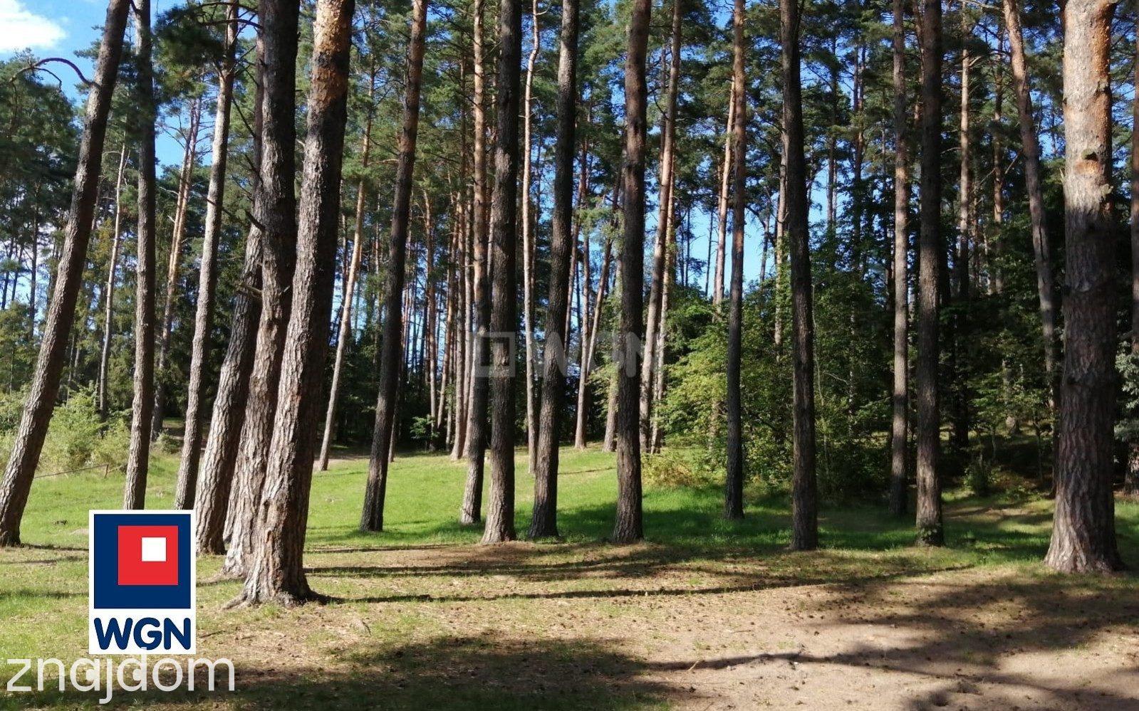 Działka na sprzedaż Czerwonka