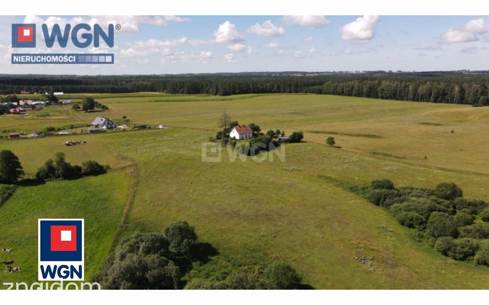 Działka na sprzedaż Czerwonka - zdjęcie 18