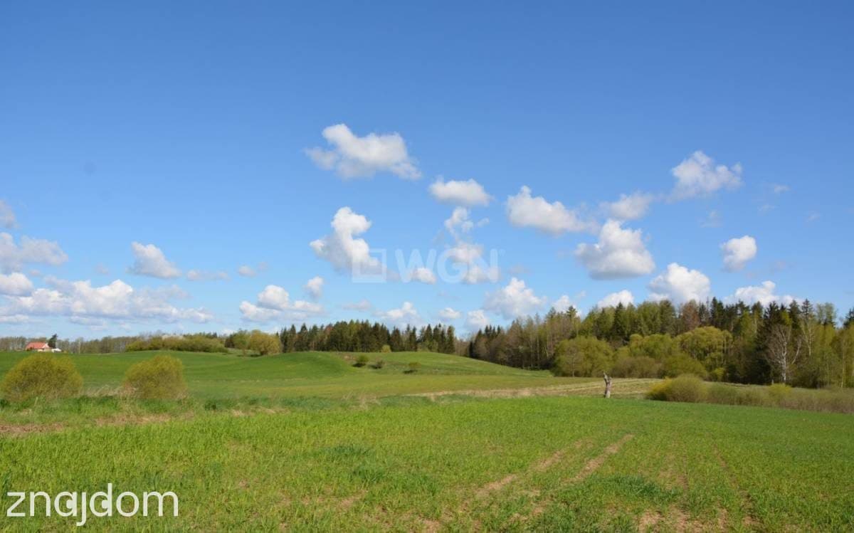 Działka na sprzedaż Malinka - zdjęcie 2