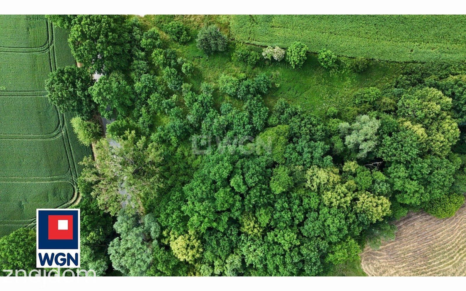 Grunt budowlany jednorodzinny na sprzedaż Roszyce - Zielona działka budowlana nad strumykiem. - zdjęcie 3