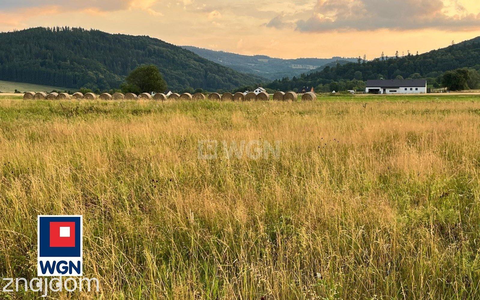 Grunt rolny na  sprzedaż Stara Bystrzyca - Działka rolna z potencjałem inwestycyjnym - Bystrzyca Kłodzka. - zdjęcie 16