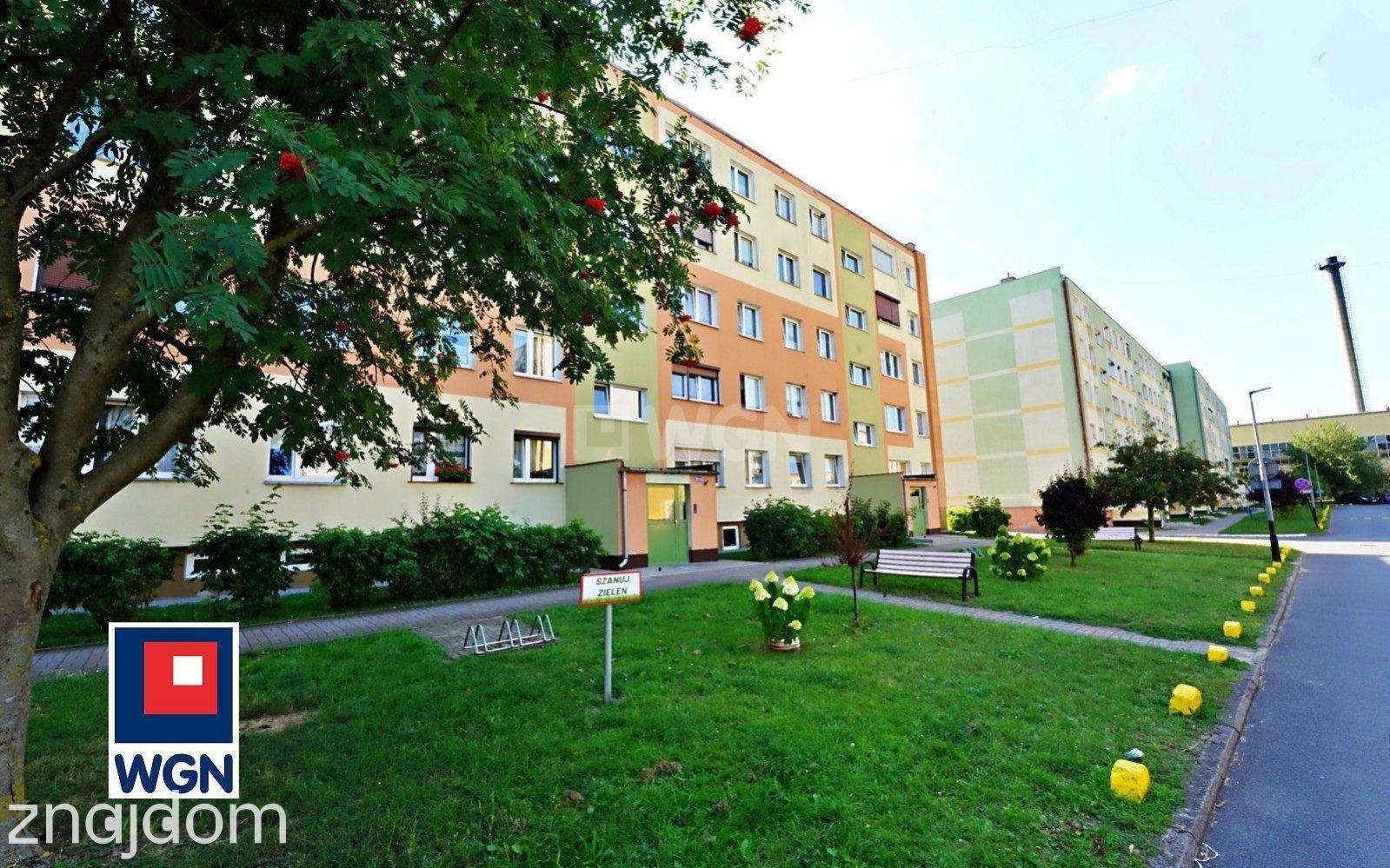 Mieszkanie na sprzedaż Strzelce Krajeńskie - TRZYPOKOJOWE Z KLIMATYZACJĄ. NOWA CENA: 219 000ZŁ - zdjęcie 4