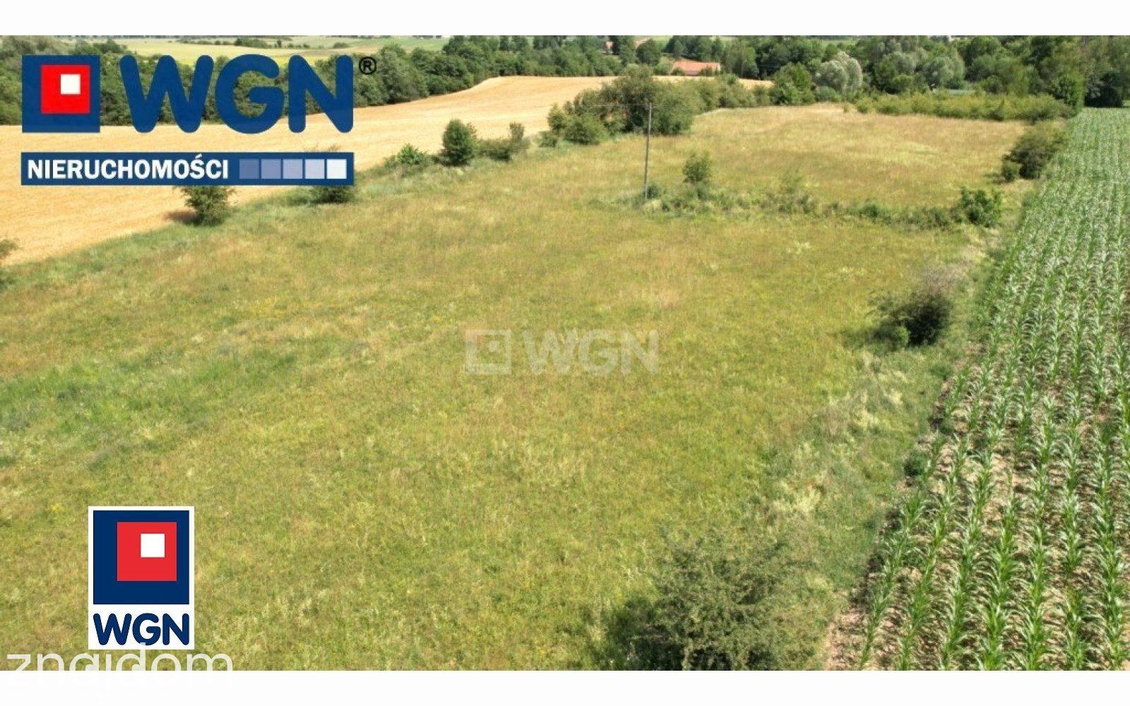 Działka na sprzedaż Długochorzele - zdjęcie 4
