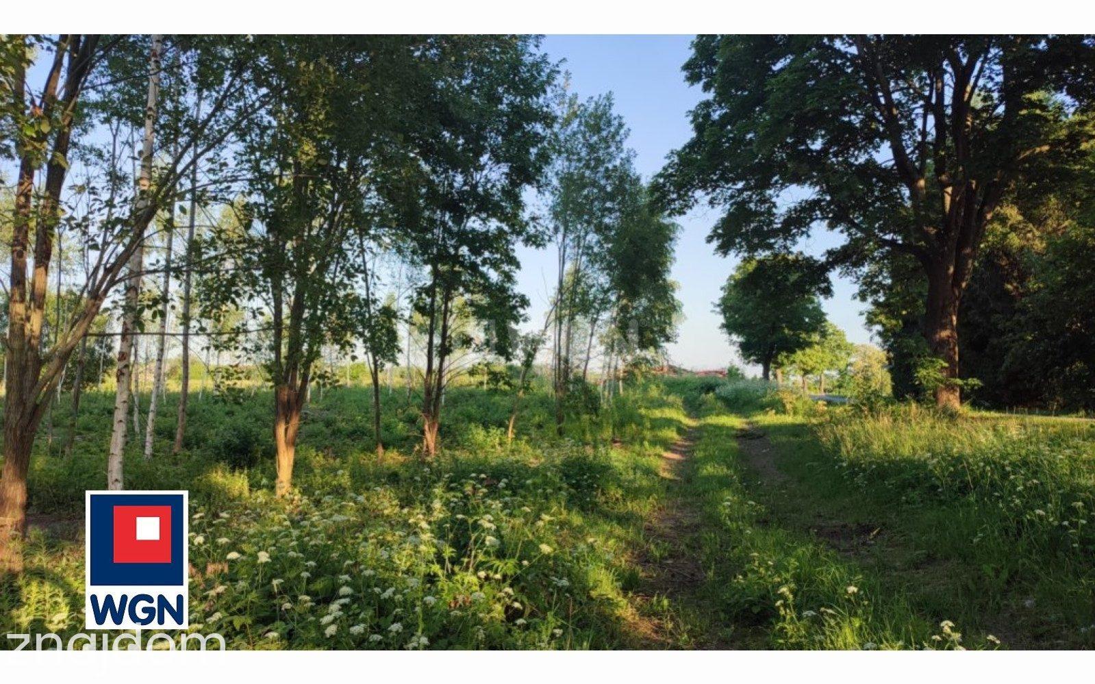Grunt rolny do przekształcenia na  sprzedaż Laski Wielkie - Mazury, działki budowlane blisko plaży - zdjęcie 13
